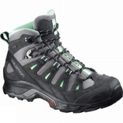 Salomon Womens Quest Prime GTX Boot Detroit/Ashpalt/Lucite Green